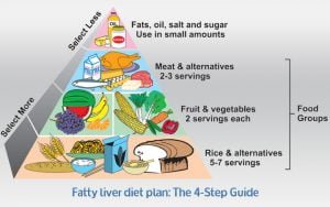 fatty liver