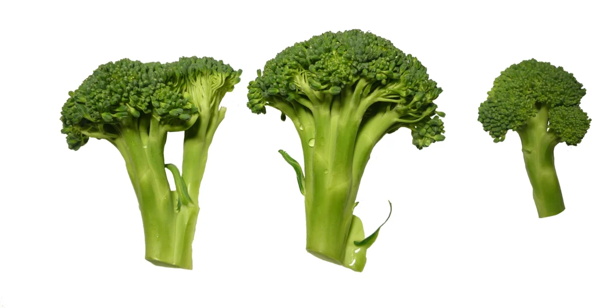 broccoli