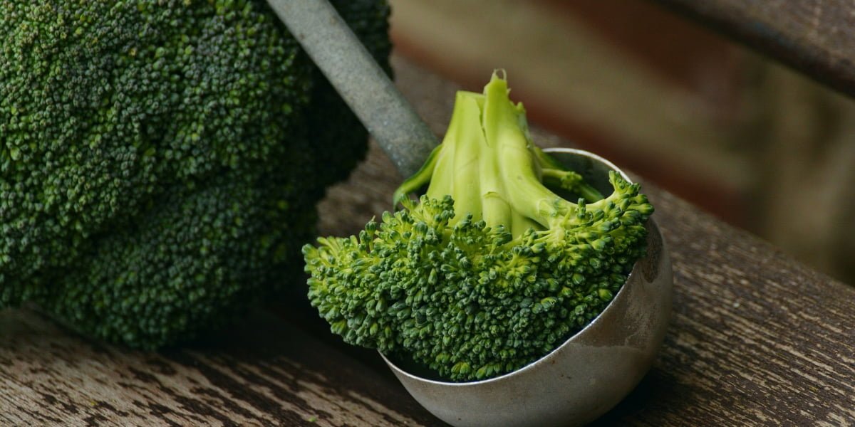 Broccoli helps prevent cancer and NAFLD