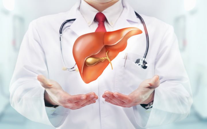 fatty liver disease treatment