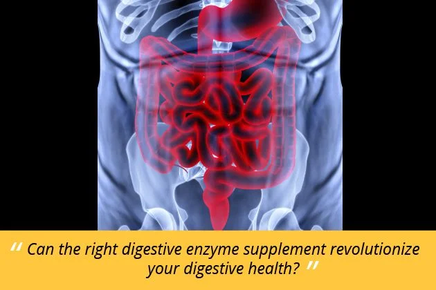 digestive enzymes 