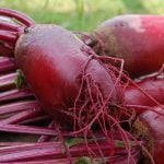 beets