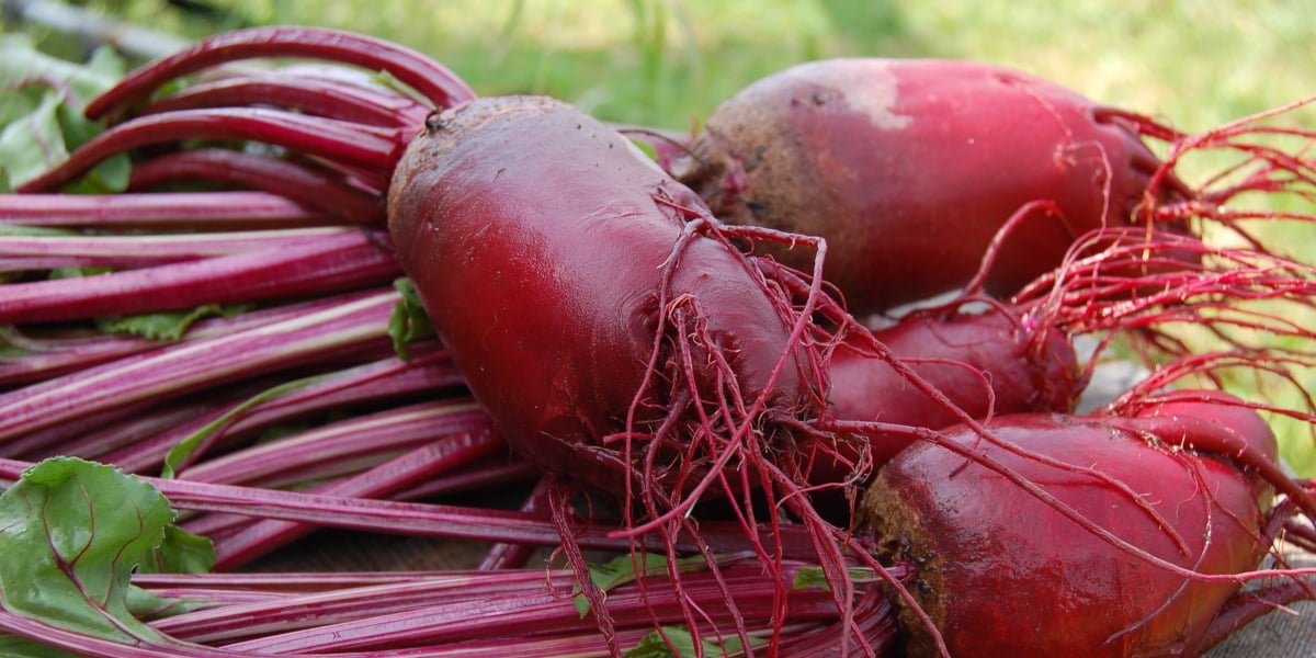 Why Should You Eat More Beets?