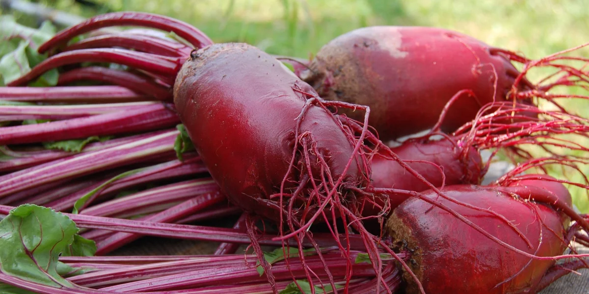 beets