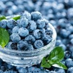 bilberry