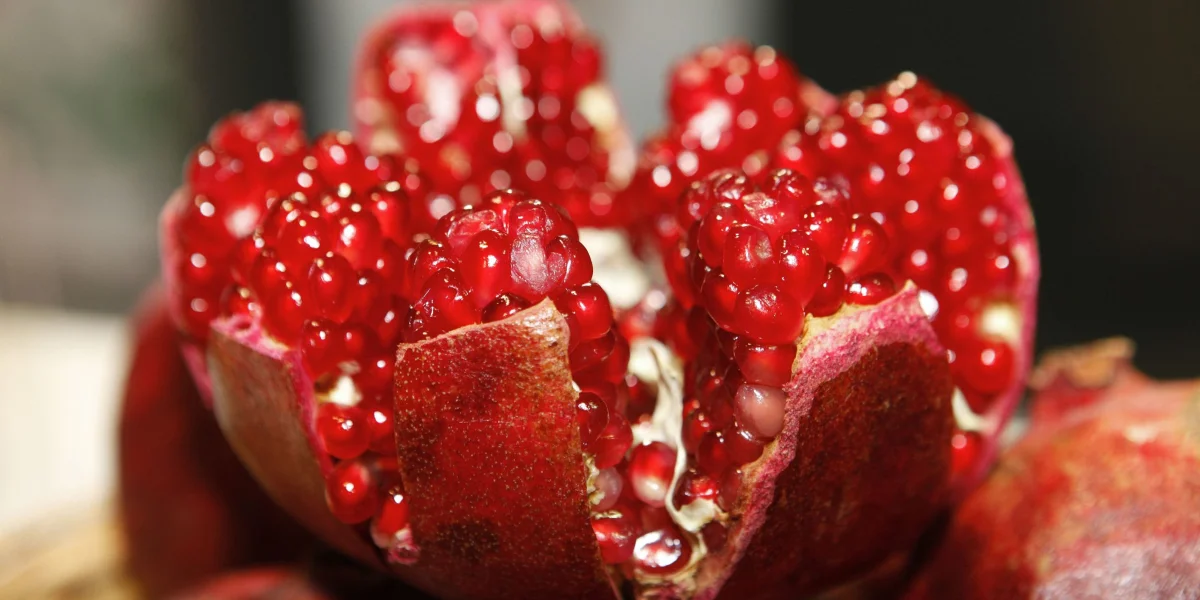 pomegranate fruit