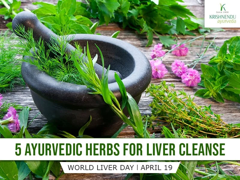 herbs for liver detox