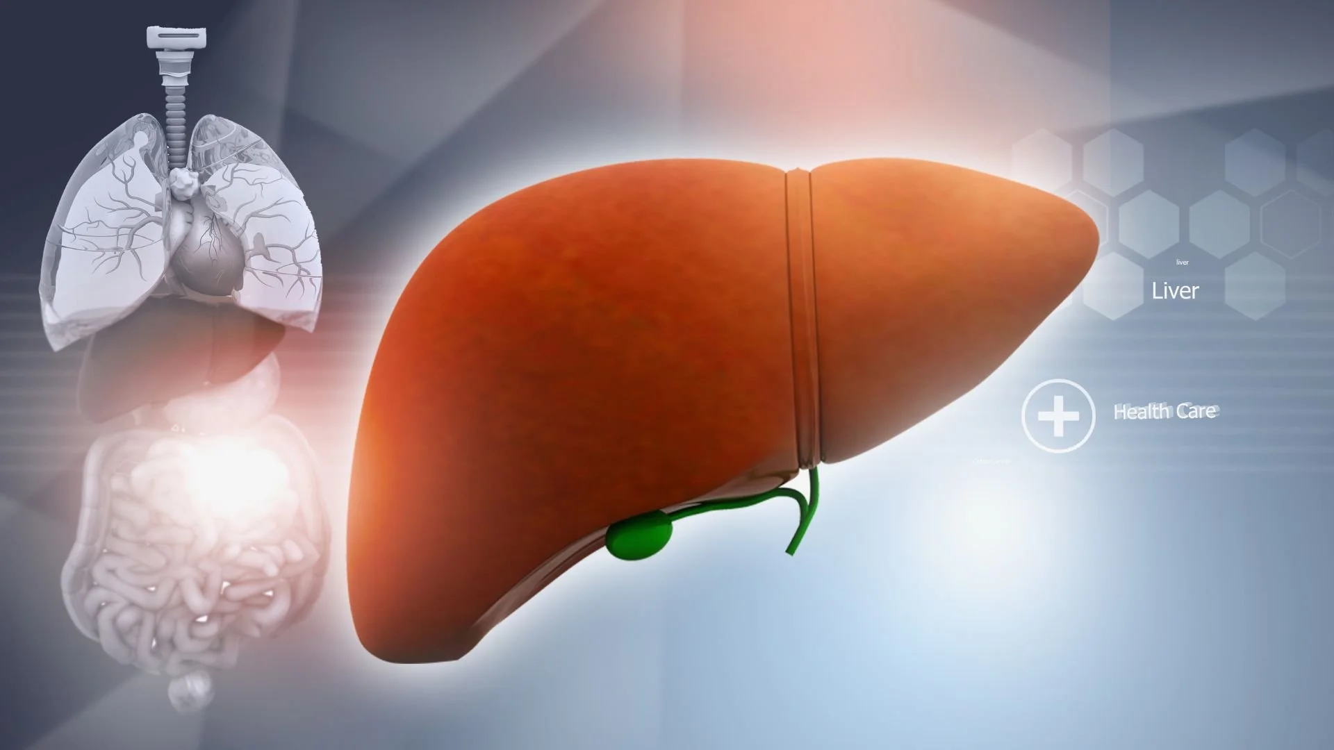 What Is MASLD Liver Disease